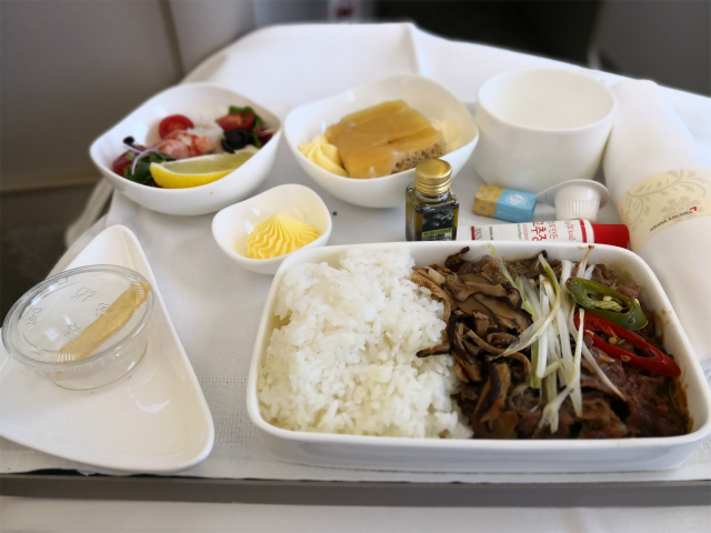 アシアナ航空 ビジネスクラス搭乗記 おすすめ機材 機内食 評判 感想等レポート 福岡 ソウル仁川