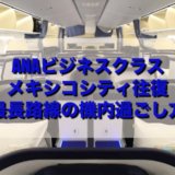 【ANAビジネスクラス搭乗記】成田-メキシコシティ往復 NH180/NH179 アメニティ一新！最長路線における機内の過ごし方